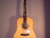 Full Front View                               